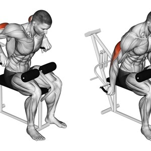 distensioni o dip alla macchina - esercizio per tricipiti
