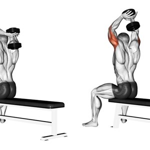 estensioni dei tricipiti con manubrio a due braccia da seduti - esercizio per tricipiti