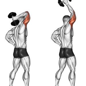 estensioni dei tricipiti con manubrio ad un braccio - esercizio per tricipiti