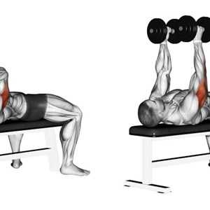 french press con manubri sdraiati su panca piana - esercizio per tricipiti