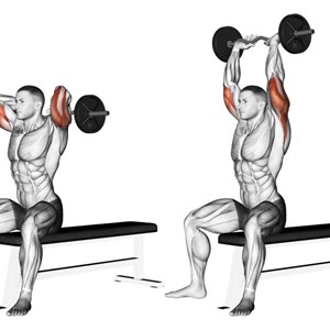 french press verticale con bilanciere sagomato seduti - esercizio per tricipiti