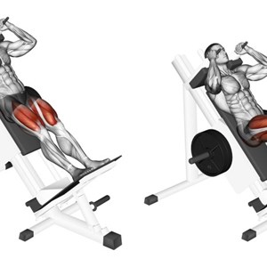 hack squat - esercizio per gambe e glutei