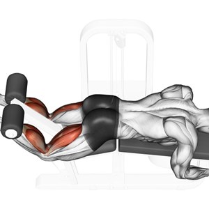 leg curl sdraiato - esercizio per bicipiti femorali