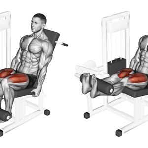 leg extension - esercizio per quadricipiti