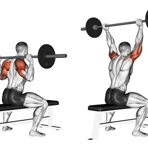 lento dietro con bilanciere da seduto - esercizio per le spalle (deltoide anteriore)