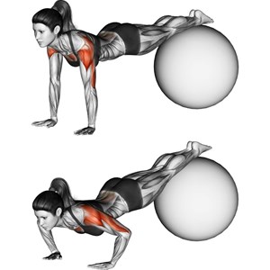 piegamenti sulle braccia declinati con fitball - esercizio per pettorali