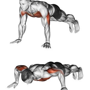 Esercizi Per Pettorali Muscoli Info