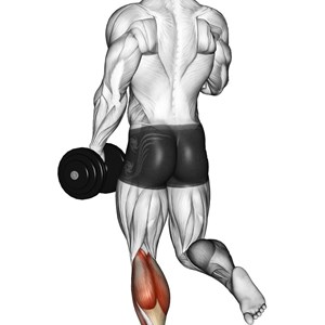Esercizi Per I Polpacci Muscoli Info