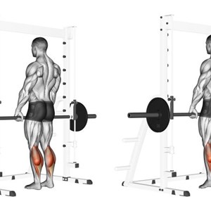 polpacci in piedi alla smith machine o multipower - esercizio per polpacci