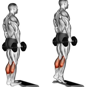 Esercizi Per I Polpacci Muscoli Info
