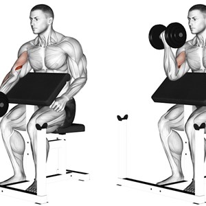 preacher curl a un braccio con manubrio - esercizio per bicipiti