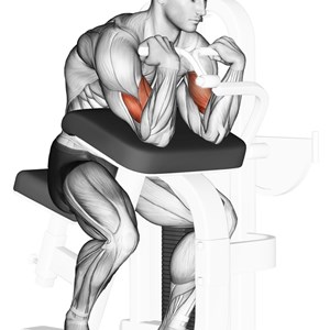 preacher curl alla macchina - esercizio per bicipiti