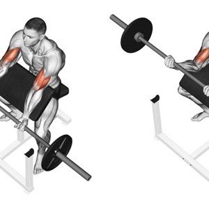 preacher curl con bilanciere - esercizio per bicipiti