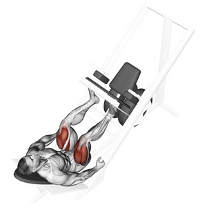 pressa per gambe a 45° - esercizio per le gambe