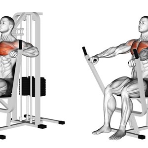 Esercizi Per Pettorali Muscoli Info
