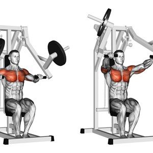 pressa per pettorali - esercizio per pettorali