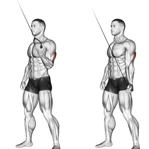 spinte in basso al cavo alto a presa inversa ad un braccio - esercizio per tricipiti