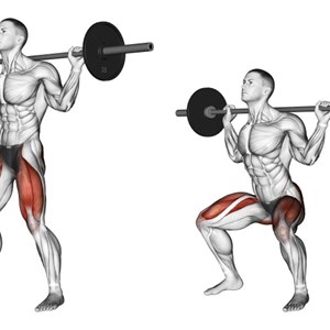 squat con bilanciere - esercizio per gambe e glutei