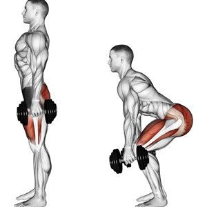 squat con manubri - esercizio per gambe e glutei