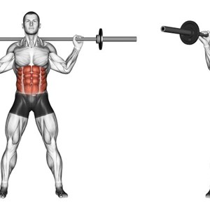 Allenamento Con Il Bilanciere Muscoli Info