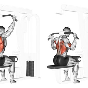 trazioni alla lat machine dietro - esercizio per dorsali