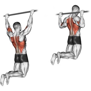 trazioni alla sbarra a presa prona dietro - esercizio per dorsali